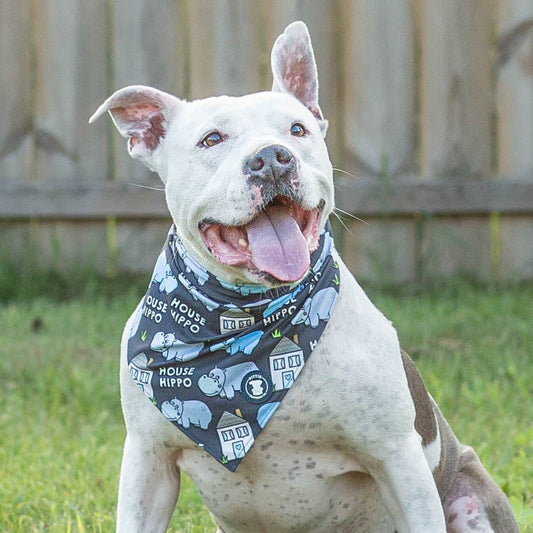 Pitty-potamus Dog Bandana – Classic Black