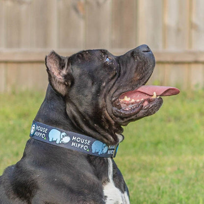 Pitty-potamus Martingale Collar