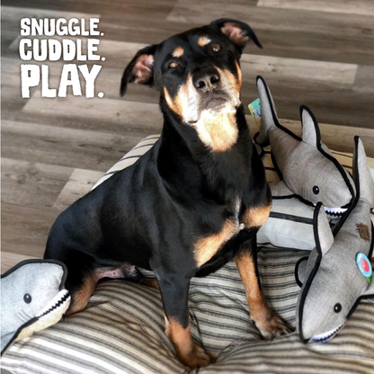 Shark Dog Toy (2-in-1)