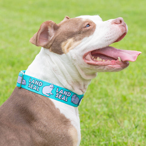 Land Seal Martingale Collar