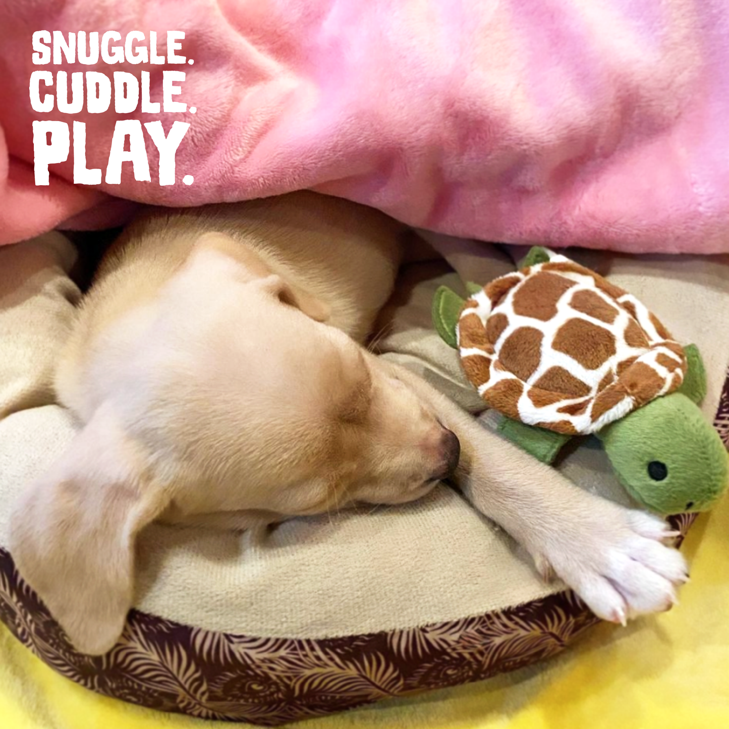 Turtle Dog Toy - Mini