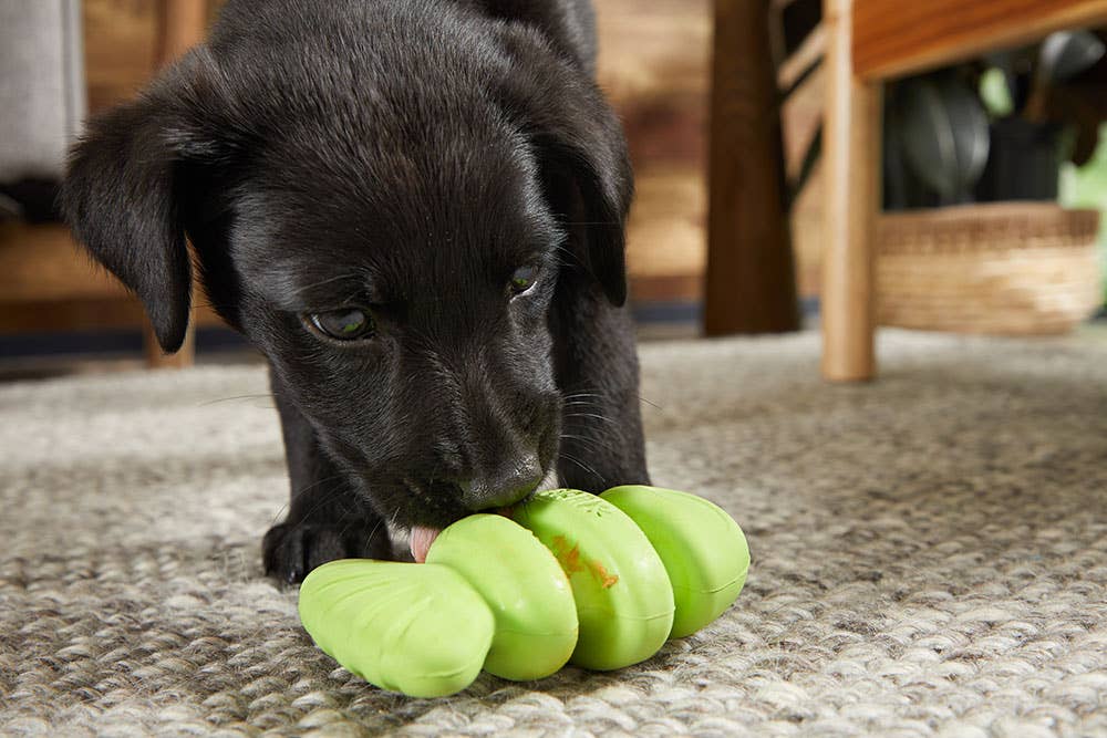 Fish Dog Toy – Tough Plush & Rubber Core