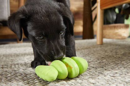 Fish Dog Toy – Tough Plush & Rubber Core