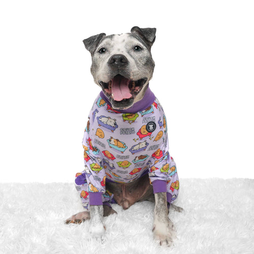 Couch Potato Dog Pajamas – Purple