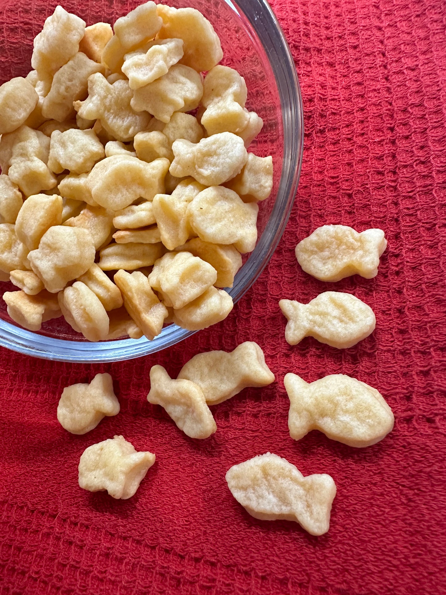 🧀 Cheddar Cheese ‘Goldfish’ Dog Treats – Crunchy & Cheesy Bites for Your Pup! 🐟