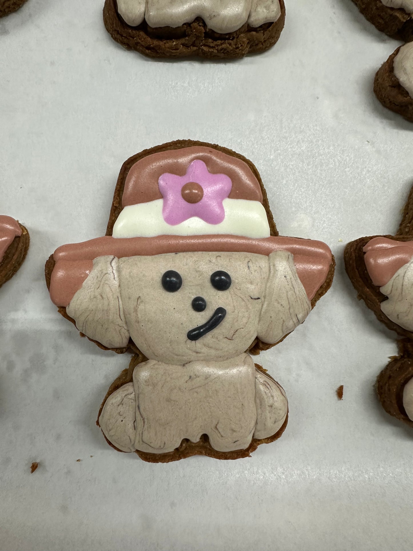Doggie with hat
