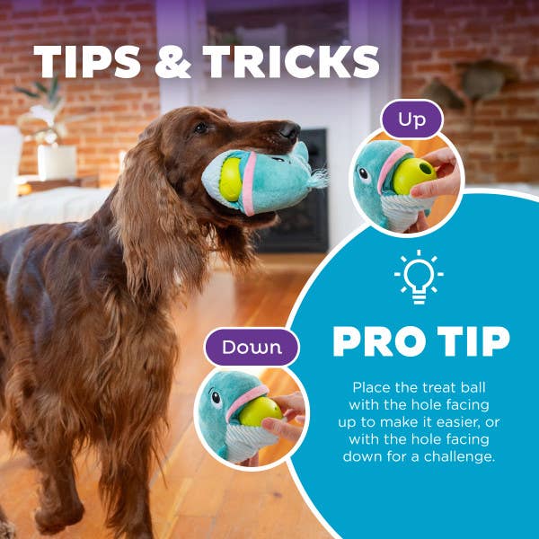 Pet Palette Distribution - Nina Ottosson Big Mouthz Whale Interactive Dog Puzzle Toy