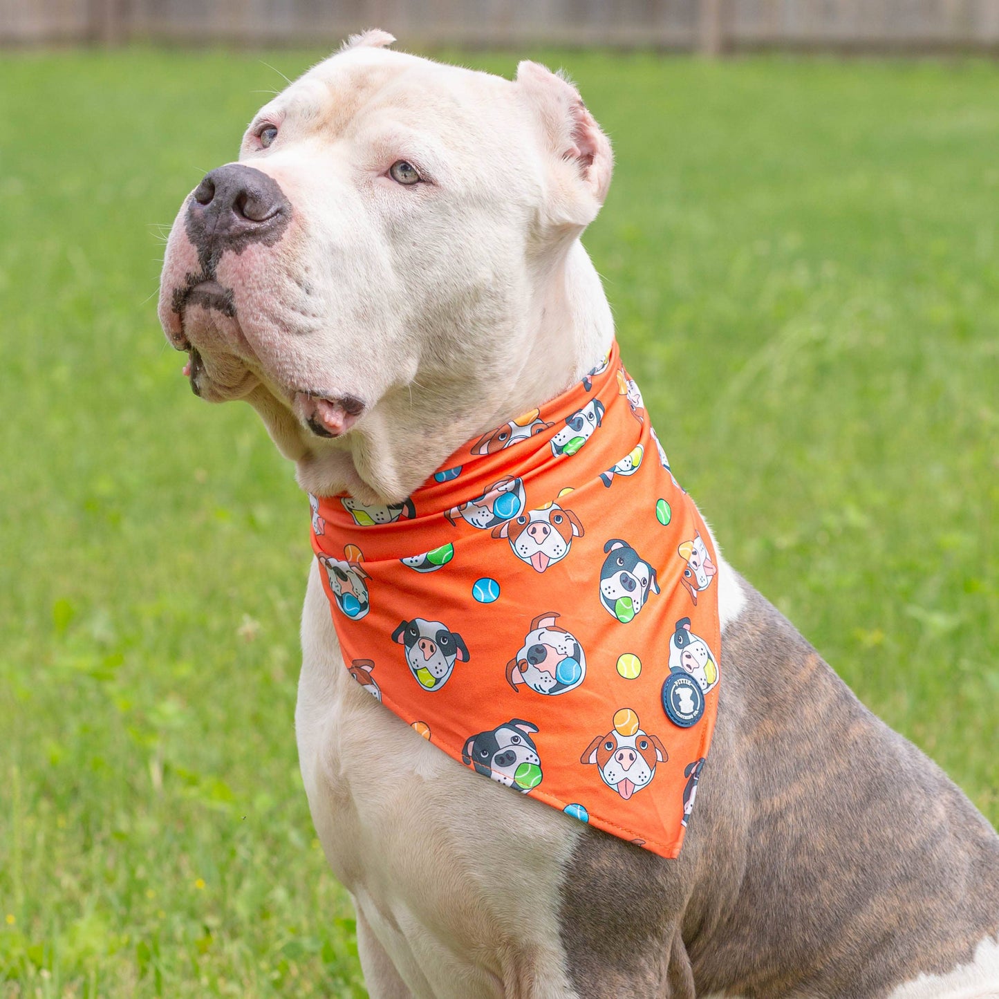 So Fetch Dog Bandana
