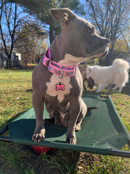 Pitty-potamus Martingale Collar – Pink