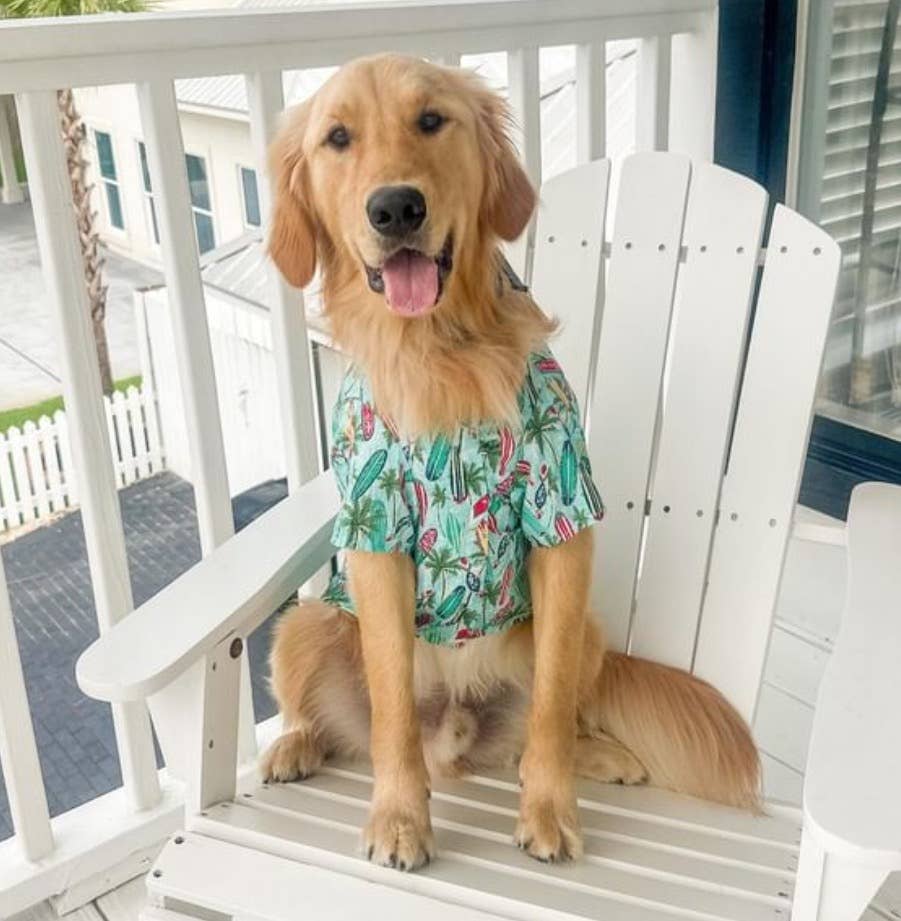 Doggie Design - Hawaiian Camp Shirt - Surfboards and Palms
