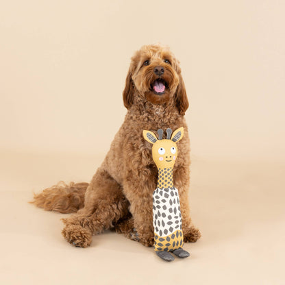 Petshop by Fringe Studio - CANVAS SQUEAKER DOG TOY HIGH THERE!