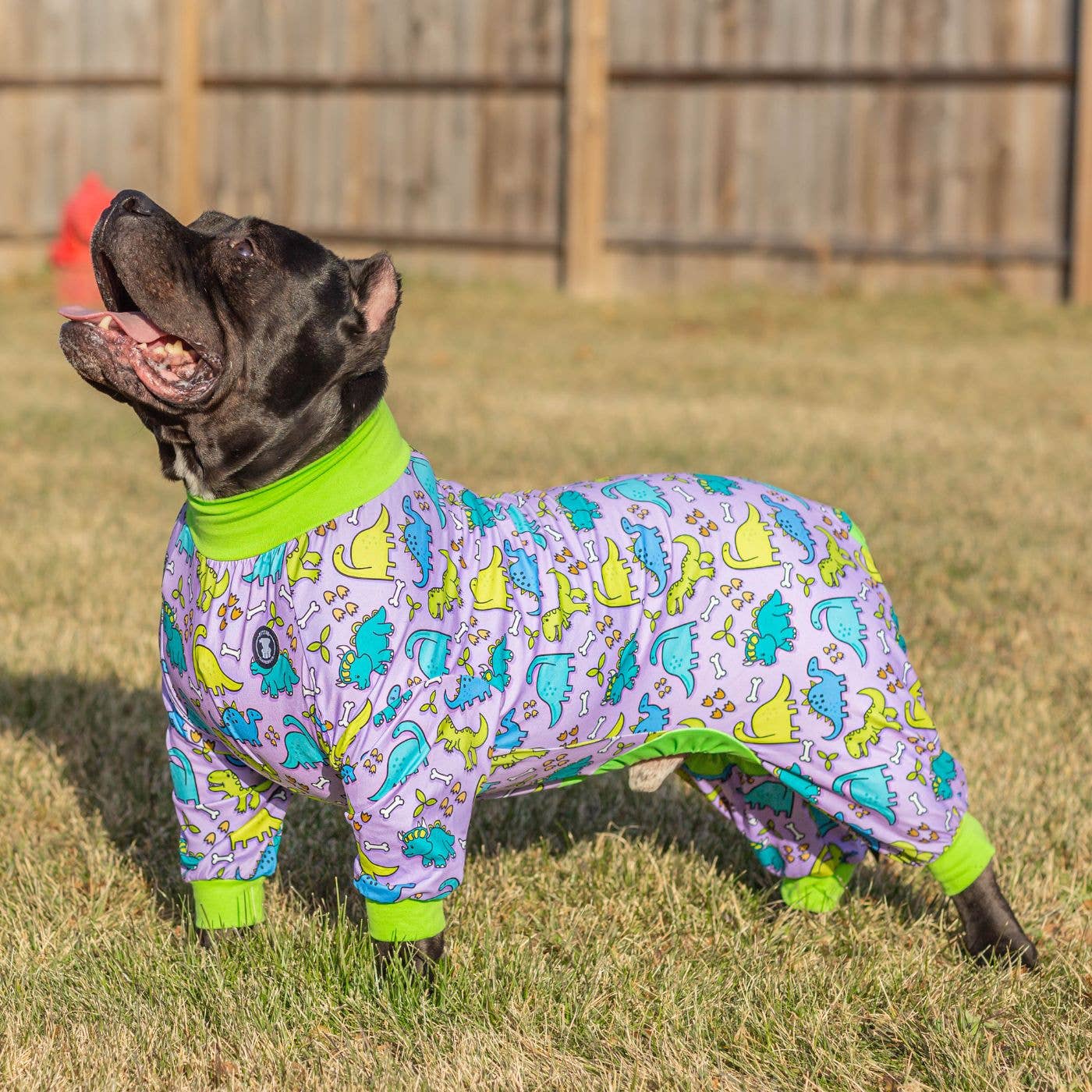 Lazy Bones Dog Pajamas – Purple