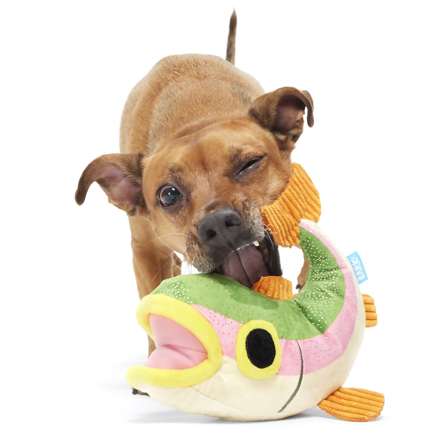 Brooke Trout Plush Dog Toy