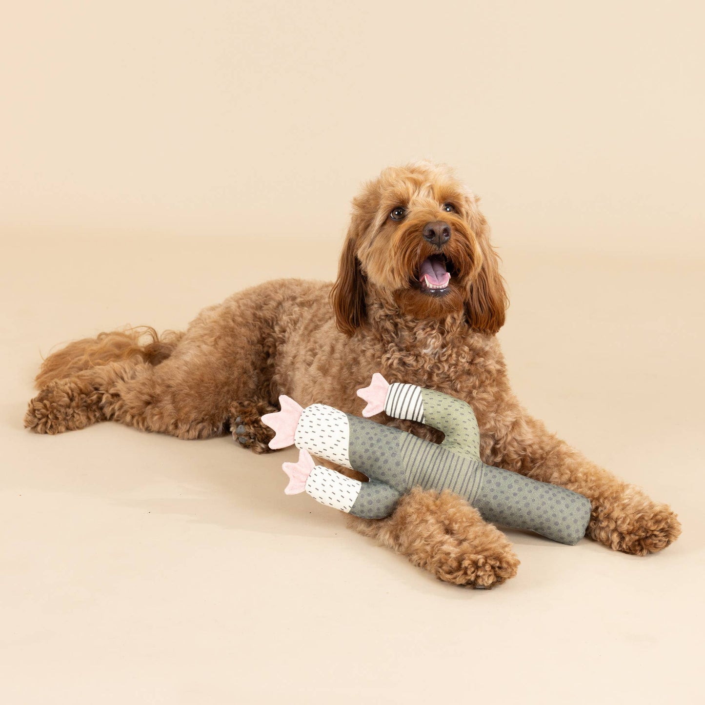 Petshop by Fringe Studio - CANVAS SQUEAKER DOG TOY I CAN BE A BIT PRICKLY