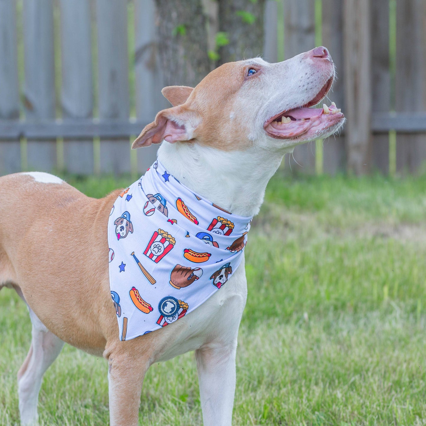 Pitch Perfect Dog Bandana