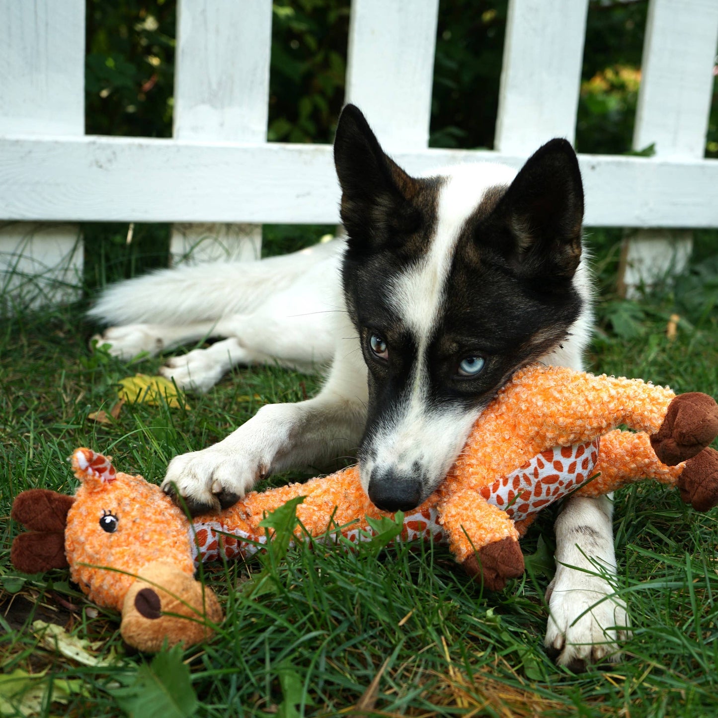 KONG® Shakers™ Luvs Giraffe Dog Toy