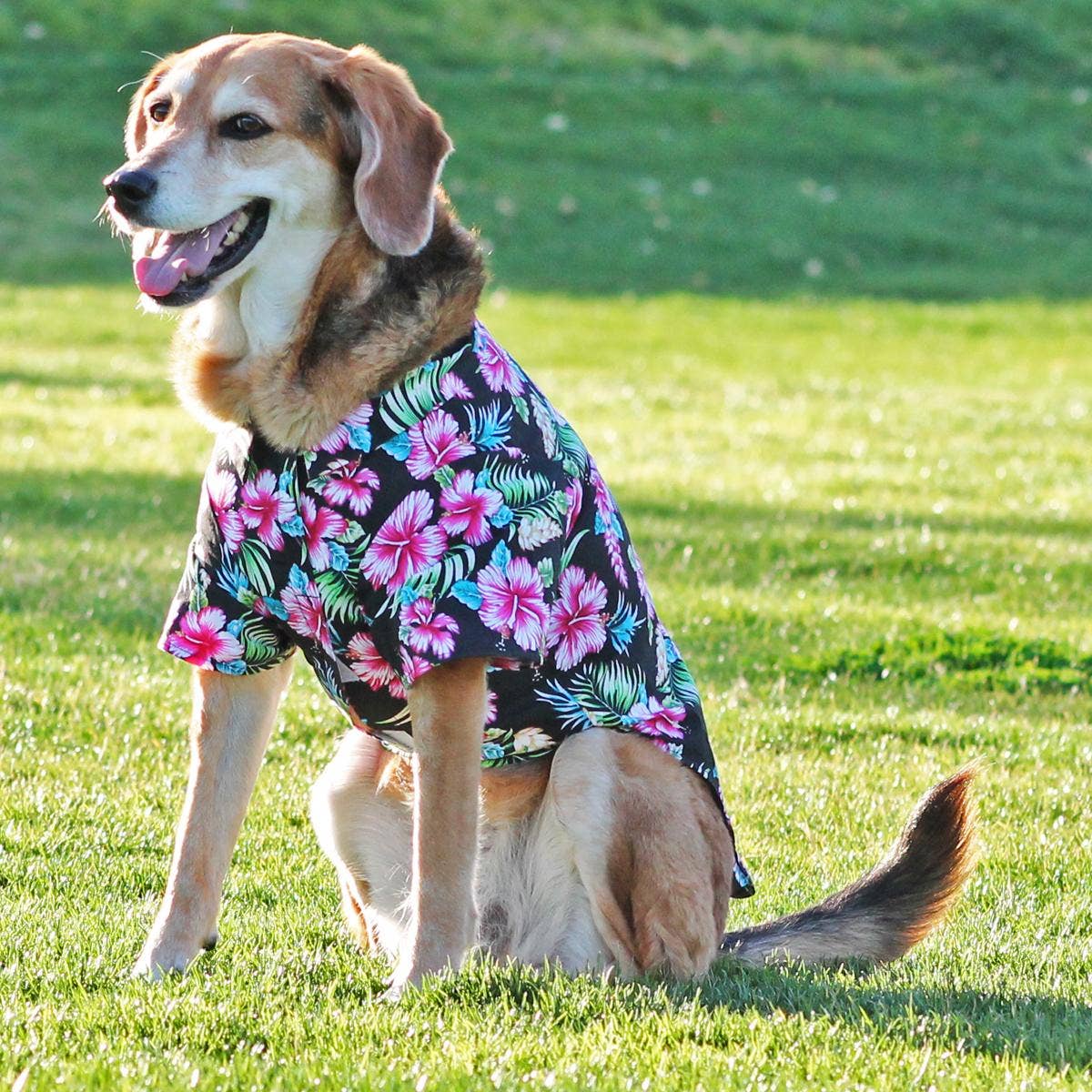Doggie Design - Hawaiian Camp Shirt - Paradise Nights