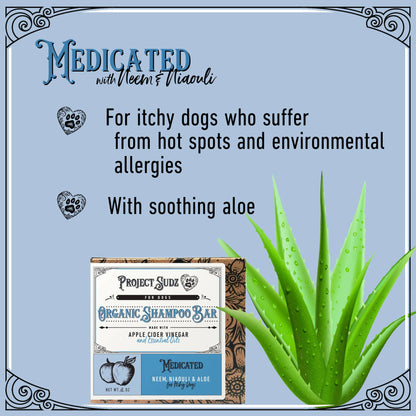 Medicated Shampoo Bar – Targeted Skin Support