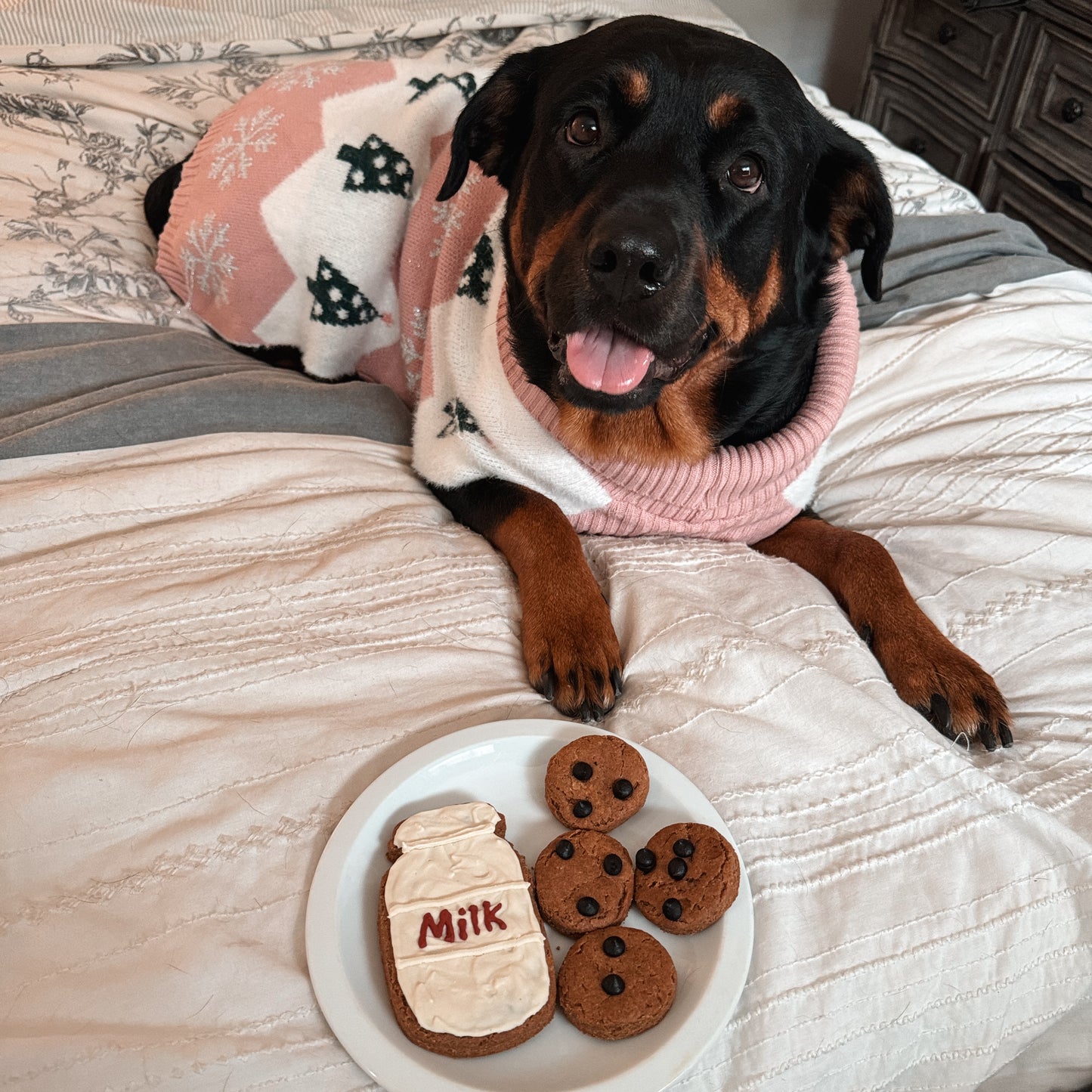 🥛 Milk & Cookies Dog Treat Set – Peanut Butter Holiday Dog Cookies, Handmade Dog Biscuits 🍪🐾