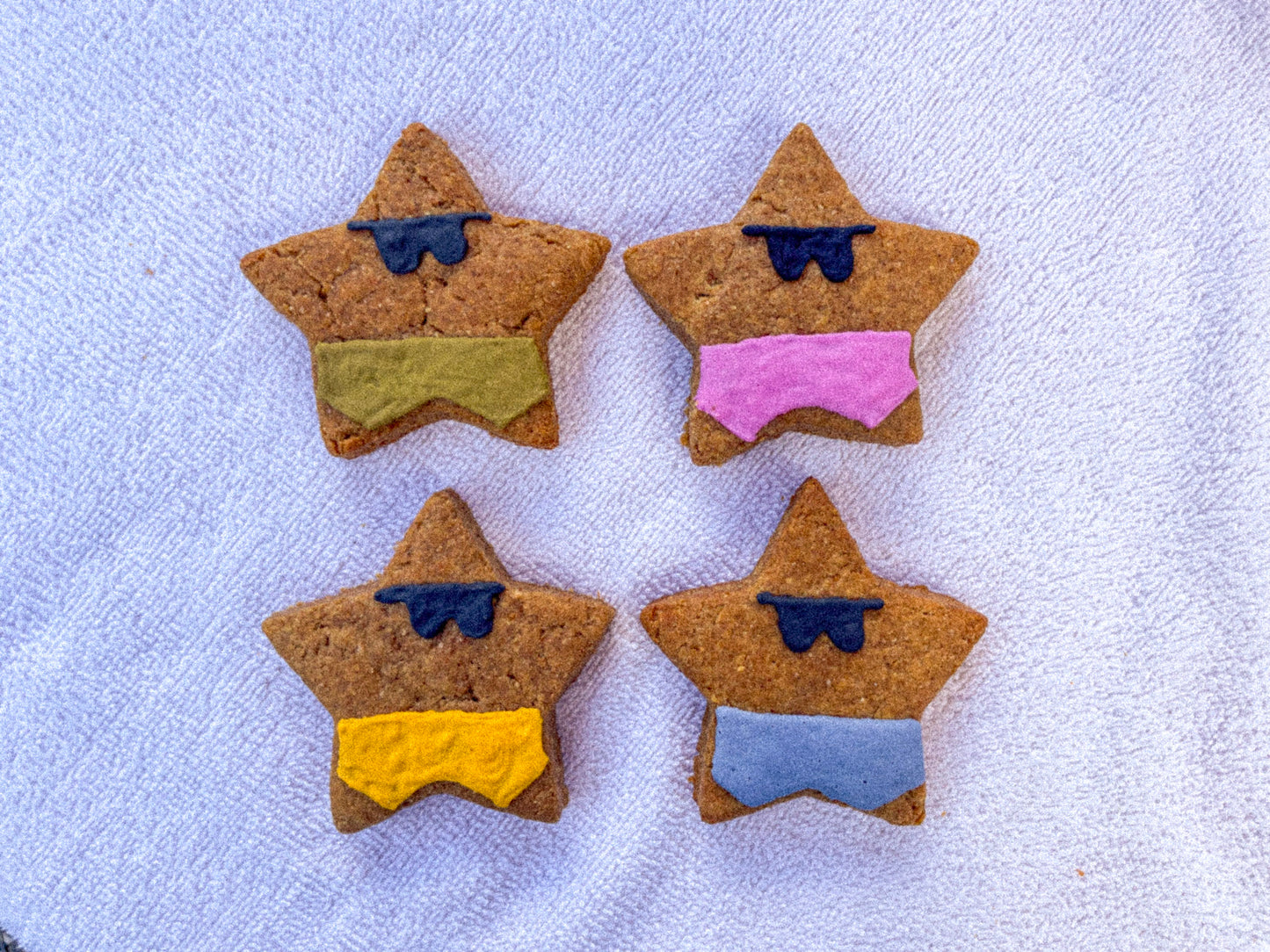 Peanut Butter Dog Treats – Sunbathing Starfish Cookies