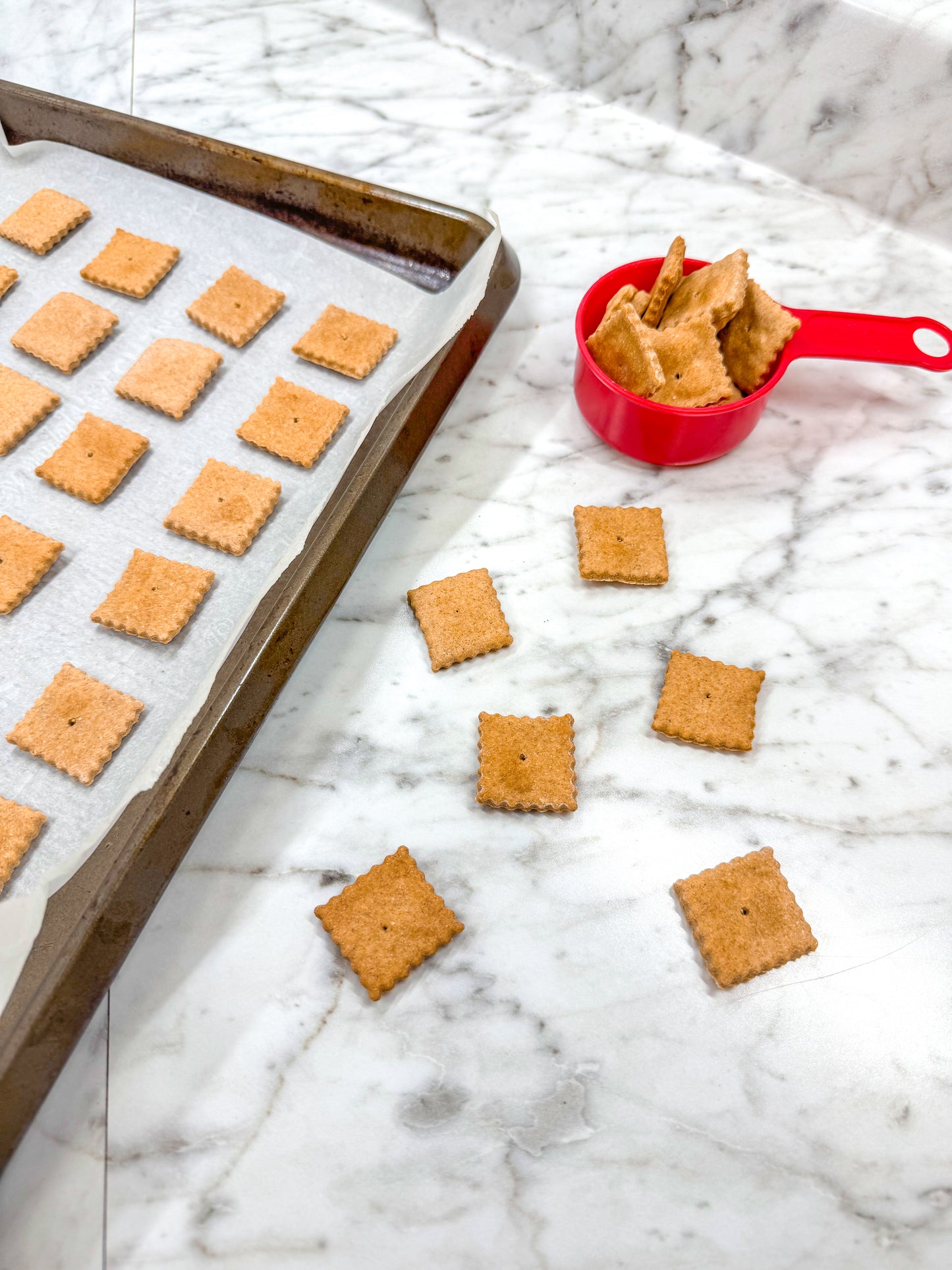 Doggy 'Cheez It' Cracker Bites