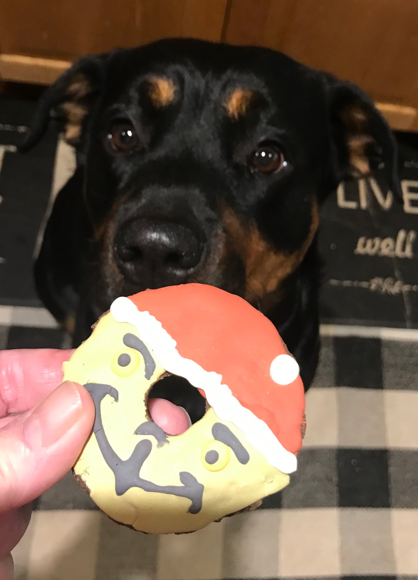 🎅 Holiday Doggie Donuts – Grinch & Santa Dog Treats, Christmas Dog Donut Set 🐾🍩