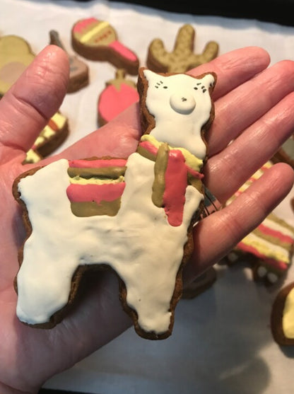 Cinco De Mayo Dog Cookie Gift Set
