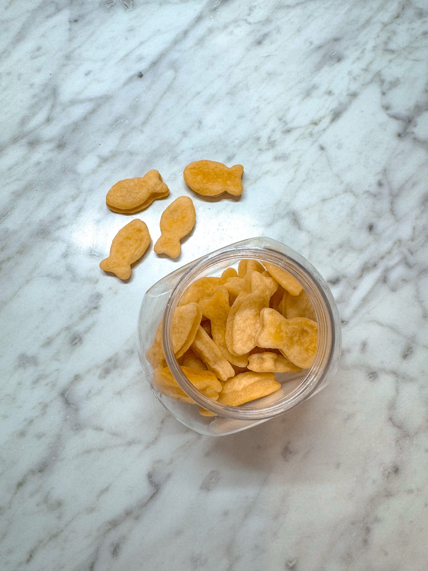 Cheddar Fish Dog Cookies