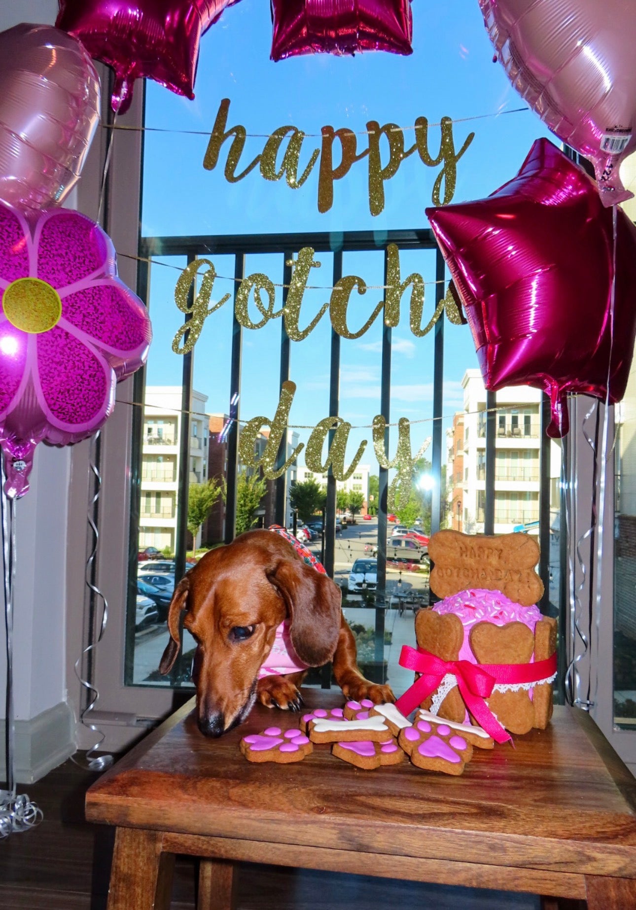 Dog Birthday Cake