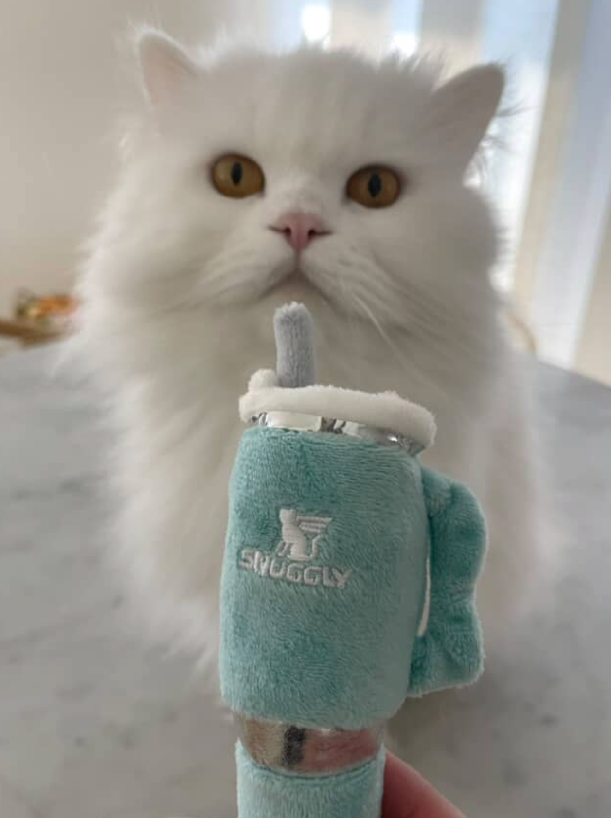 Snuggly Cup Cat Toy 3-Pack