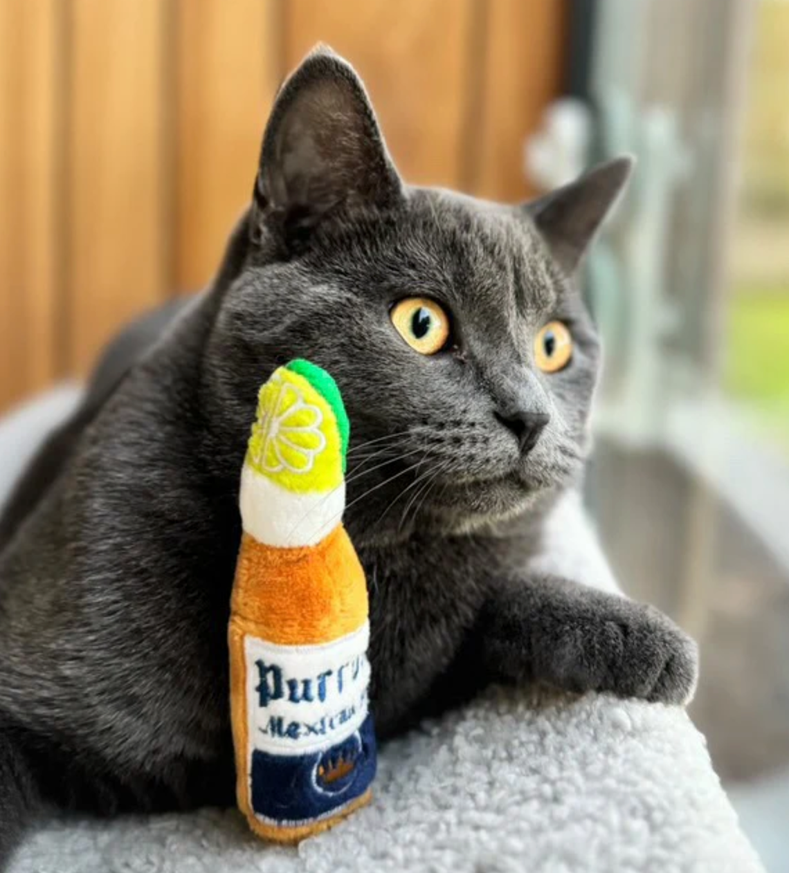 Purrona Catnip Toy Set (Bottle & Ball)