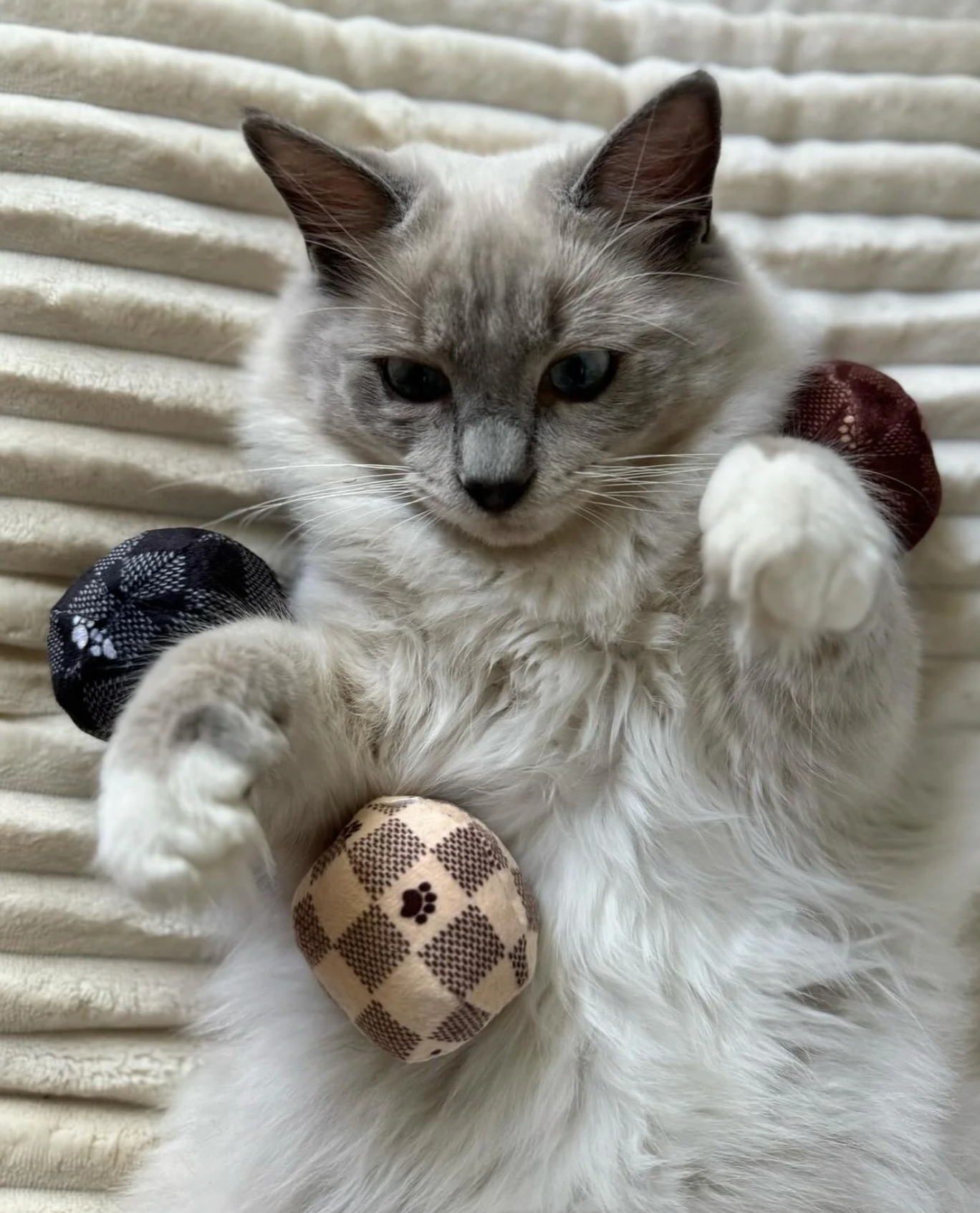 Checker Catnip Ball Toy Set (3-Pack)
