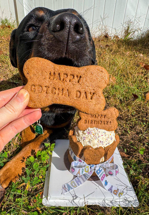 Gotcha Day Dog Cookie