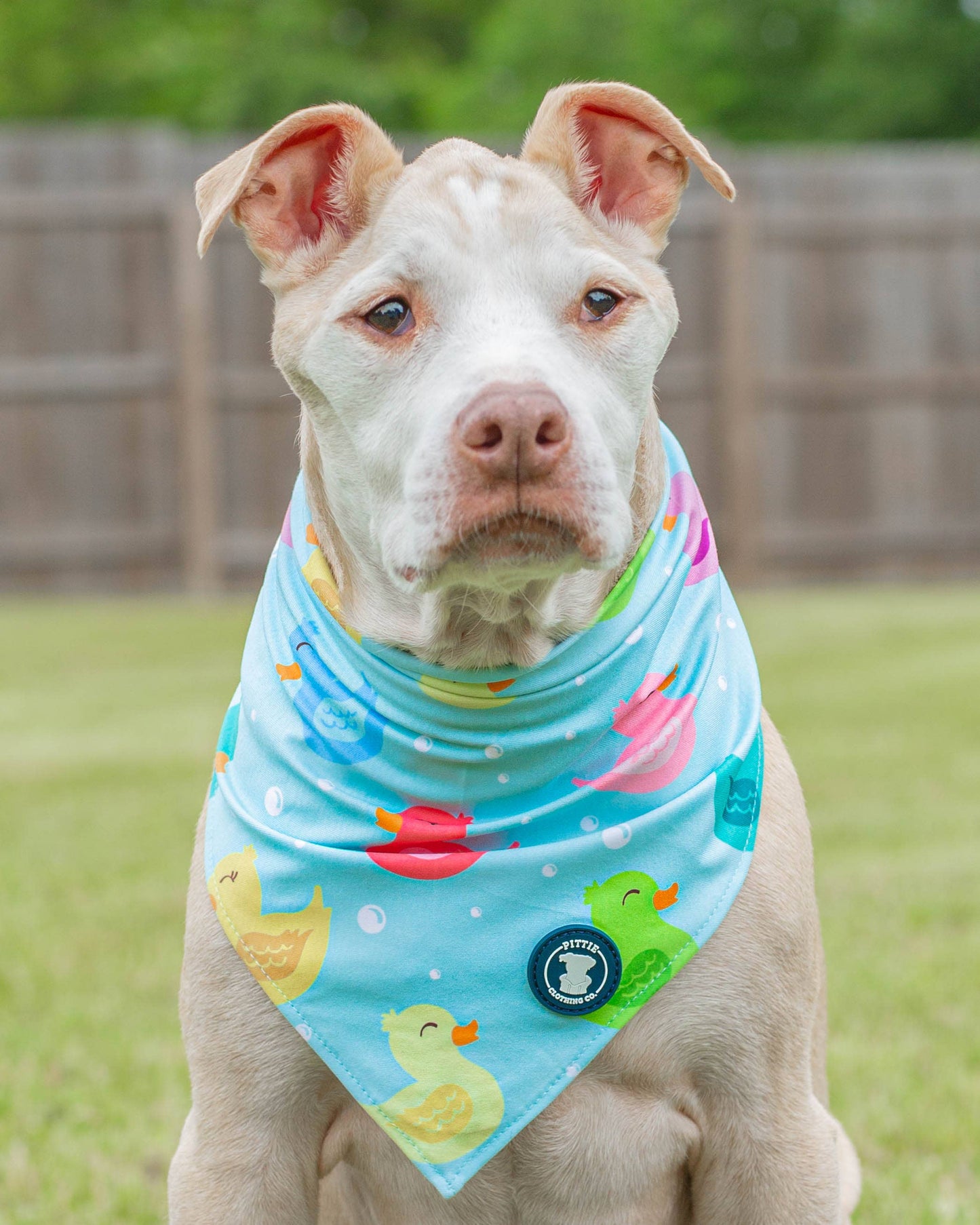 So Duckin’ Cute Dog Bandana – Teal