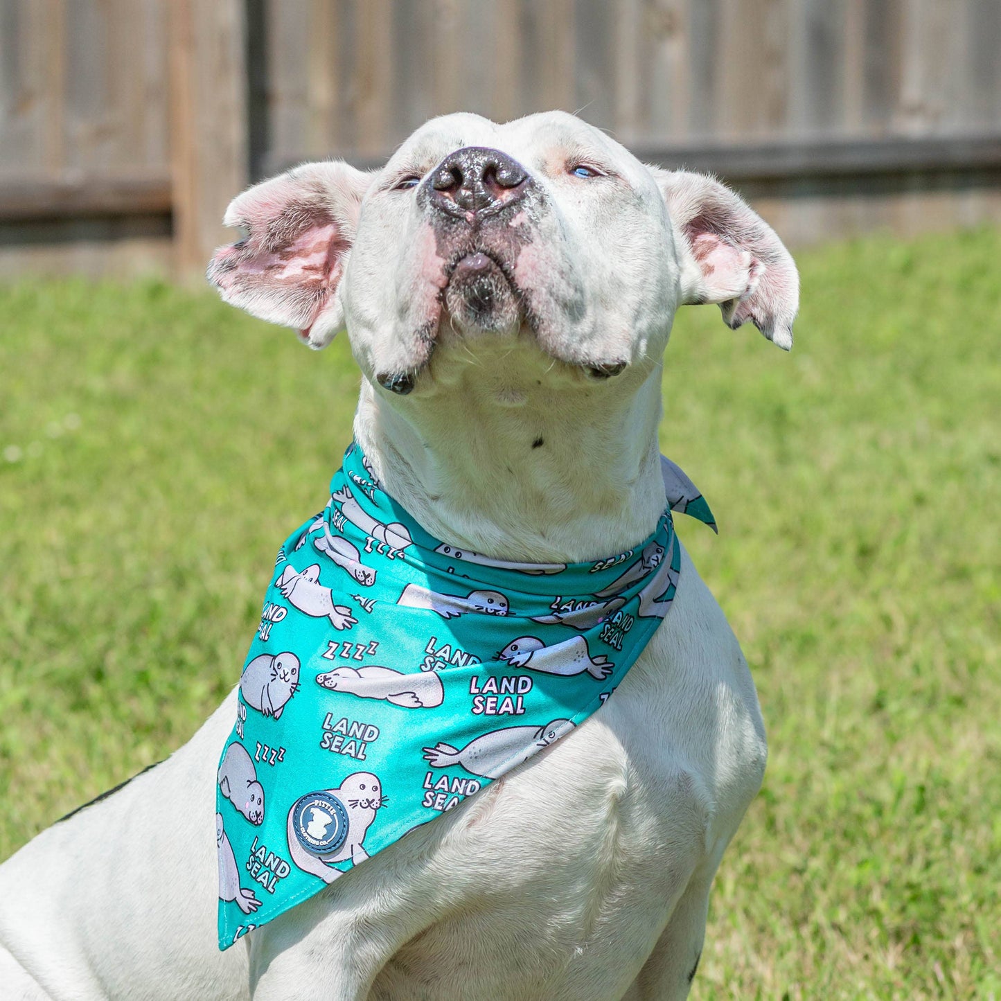 Land Seal Dog Bandana