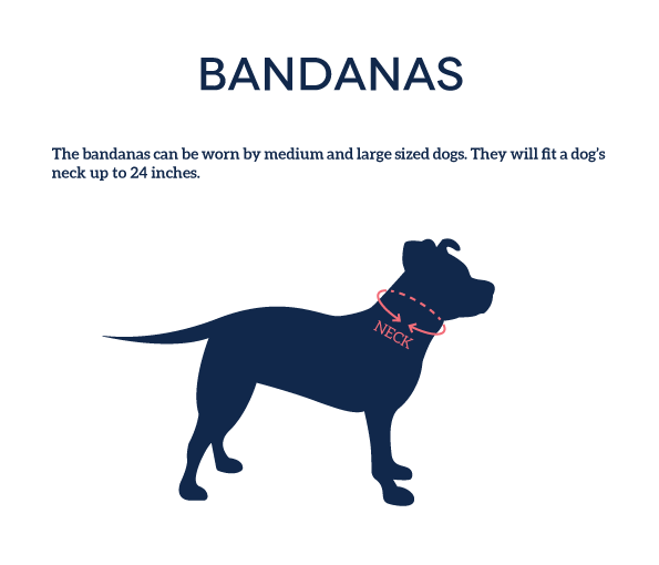 So Fetch Dog Bandana