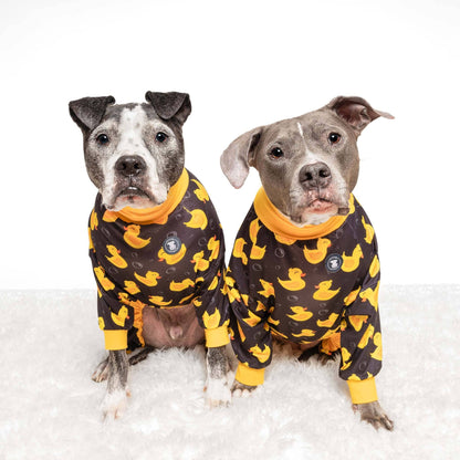 So Ducking Cute Dog Pajamas – Black
