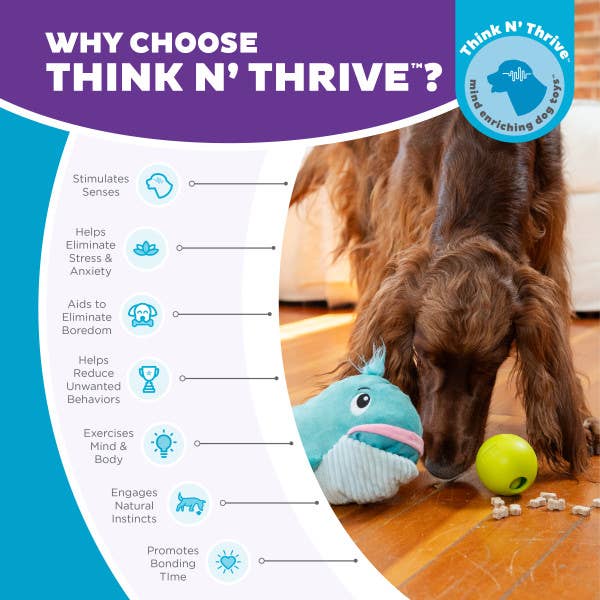 Pet Palette Distribution - Nina Ottosson Big Mouthz Whale Interactive Dog Puzzle Toy