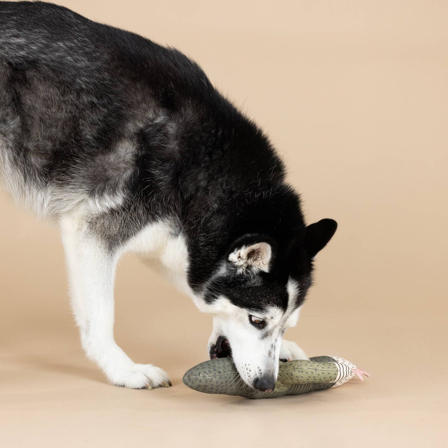 Petshop by Fringe Studio - CANVAS SQUEAKER DOG TOY I CAN BE A BIT PRICKLY