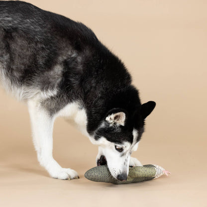 Petshop by Fringe Studio - CANVAS SQUEAKER DOG TOY I CAN BE A BIT PRICKLY