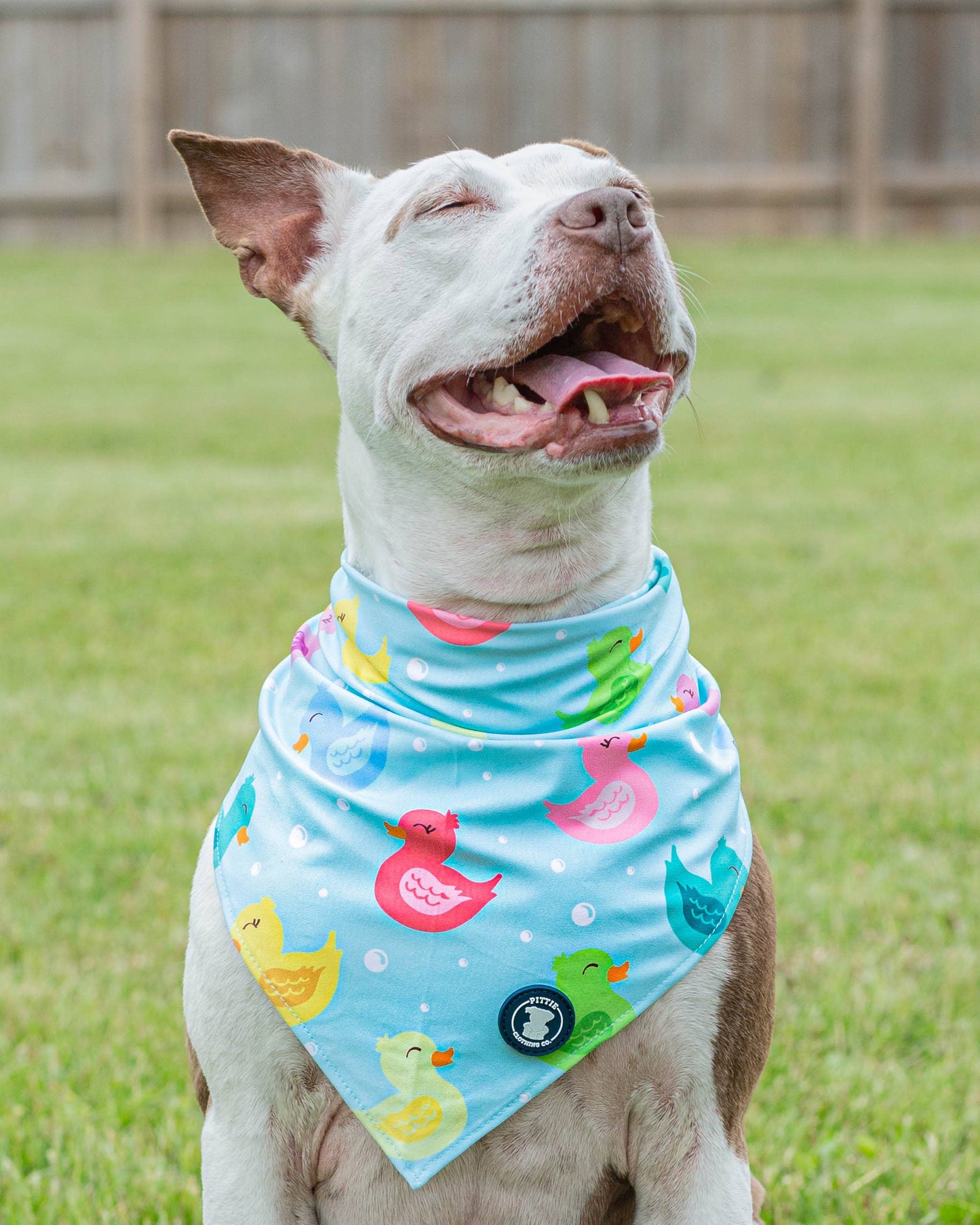 So Duckin’ Cute Dog Bandana – Teal