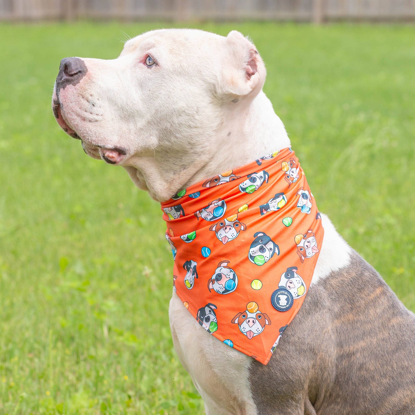 So Fetch Dog Bandana