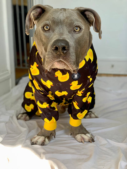 So Ducking Cute Dog Pajamas – Black