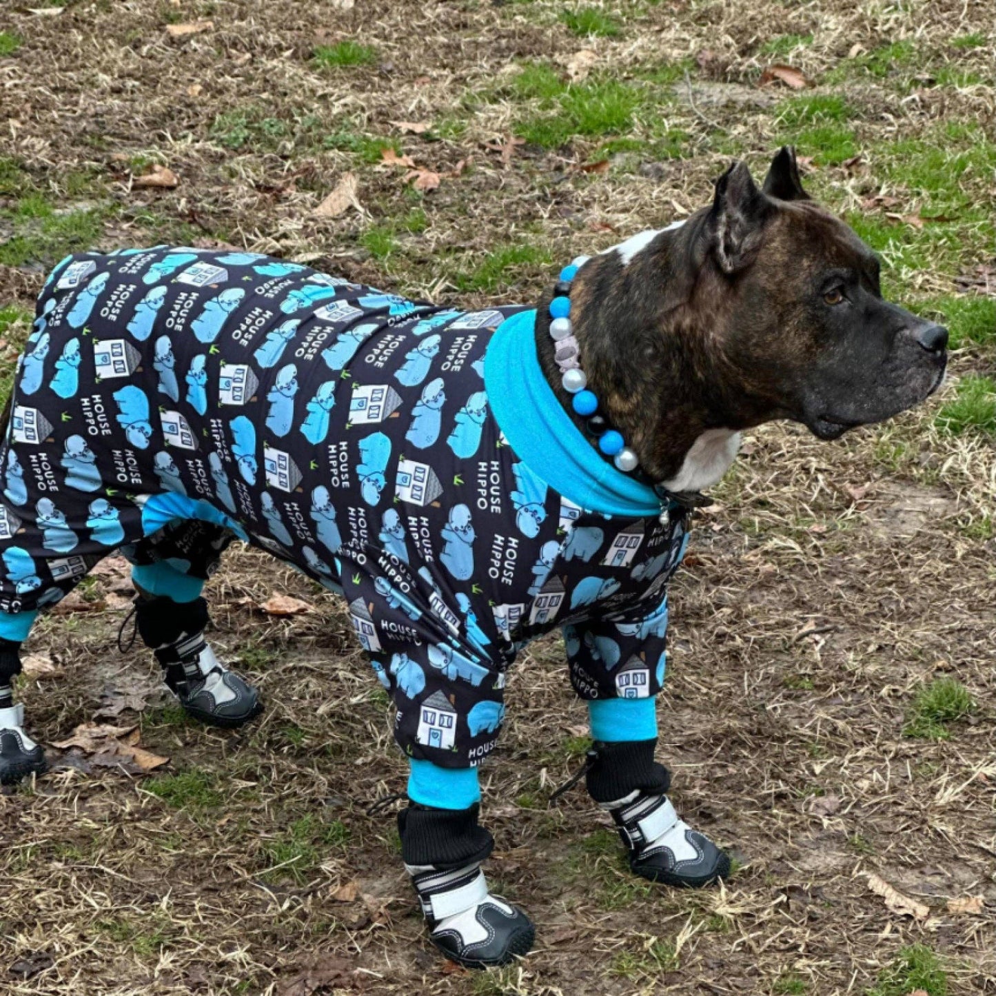 Pittypotamus Dog Pajamas – Black