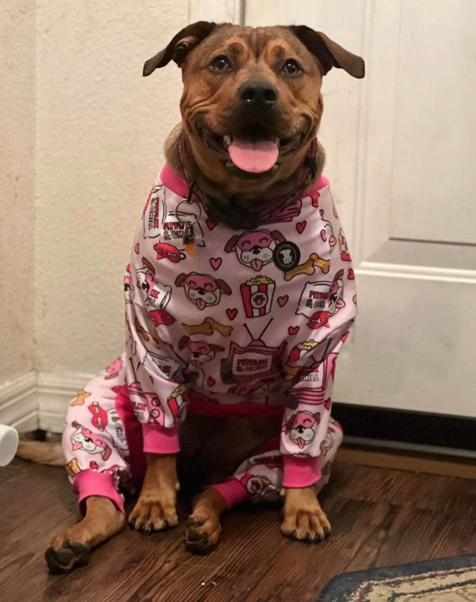 Pitflix & Chill Dog Pajamas – Pink