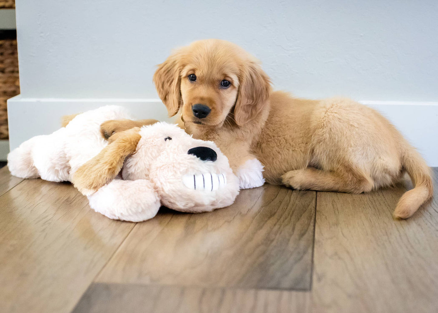 Heartbeat Puppy Comfort Toy