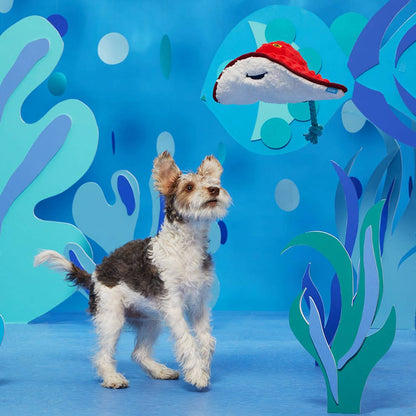 Stingray Dog Toy