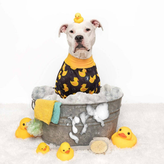 So Ducking Cute Dog Pajamas – Black