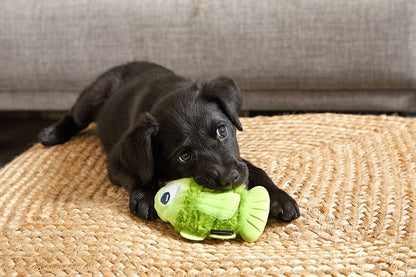 Fish Dog Toy – Tough Plush & Rubber Core