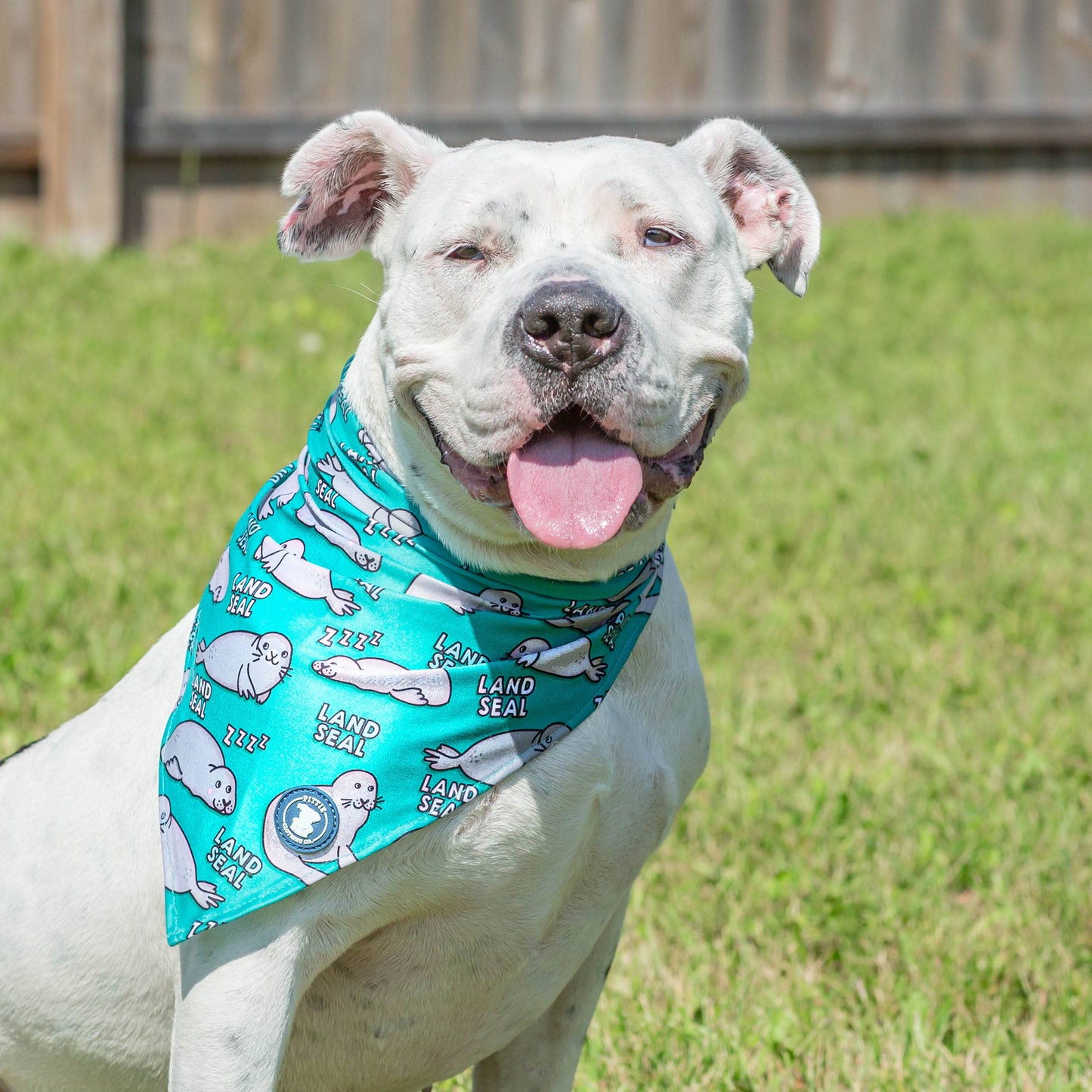 Land Seal Dog Bandana